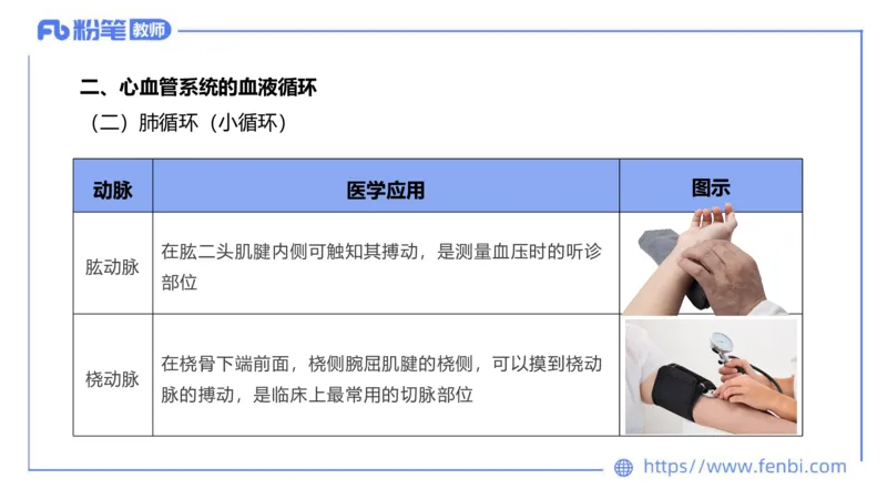 理论精讲运动解剖学5(1)_4-教培资料-26年最新资料-同步更新_科一科二电子资料合集中小幼（笔记真题知识点汇总等）文件多，按需保存_各机构笔记合集（中小幼）推荐_上课课件