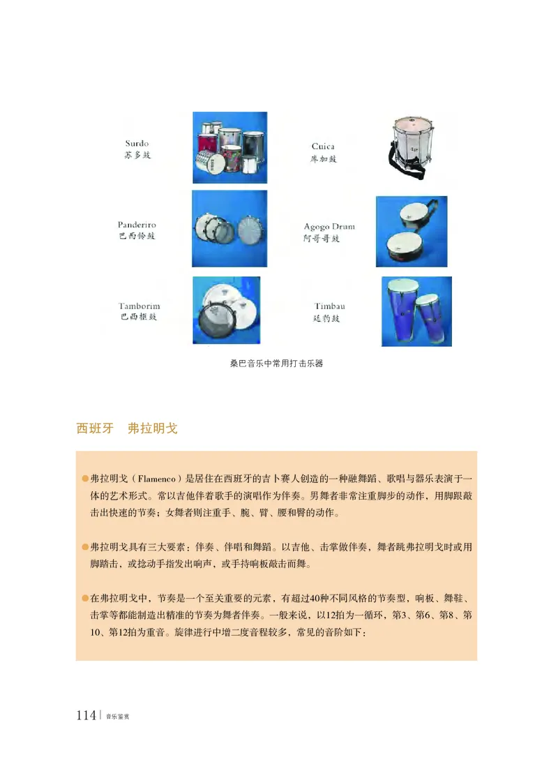 粤教版音乐必修1高清教材_4-教培资料-26年最新资料-同步更新_初中高中教资_03科三专项（进去保存报考的学科即可）_02科三专项（笔记真题思维导图教学设计版本二）