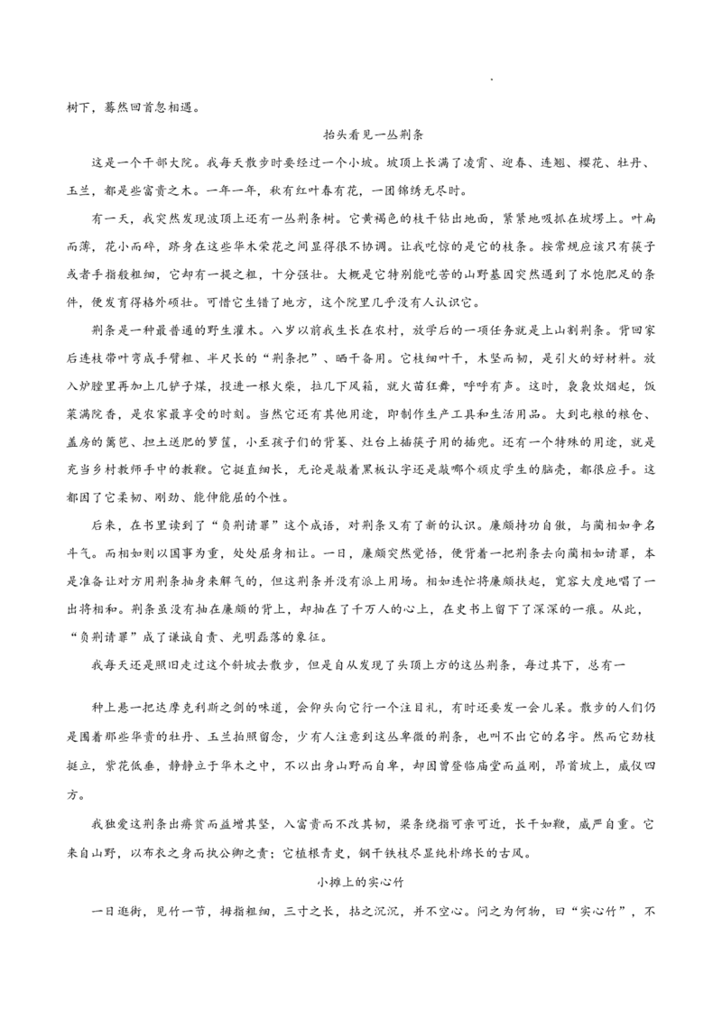 红桥区（高三上学期）期中（语文）2025-2026学年试卷_2025年11月_251116天津市红桥区2025-2026学年高三上学期11月期中考试_天津市红桥区2025-2026学年高三上学期11月期中考试语文