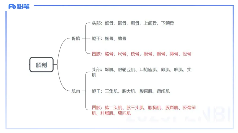 理论精讲18-美术基础知识+艺术概论4_4-教培资料-26年最新资料-同步更新_初中高中教资_03科三专项（进去保存报考的学科即可）_初中_初中美术-通关资料包_3.课程FB系统班课程