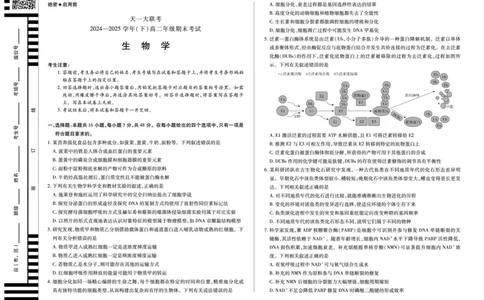 生物高二下期末试卷_2025年7月_250705天一大联考&middot;河南省2024-2025学年（下）高二年级期末考试（全科）