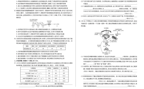 生物高二下期末试卷_2025年7月_250705天一大联考&middot;河南省2024-2025学年（下）高二年级期末考试（全科）