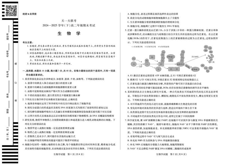 生物高二下期末试卷_2025年7月_250705天一大联考&middot;河南省2024-2025学年（下）高二年级期末考试（全科）
