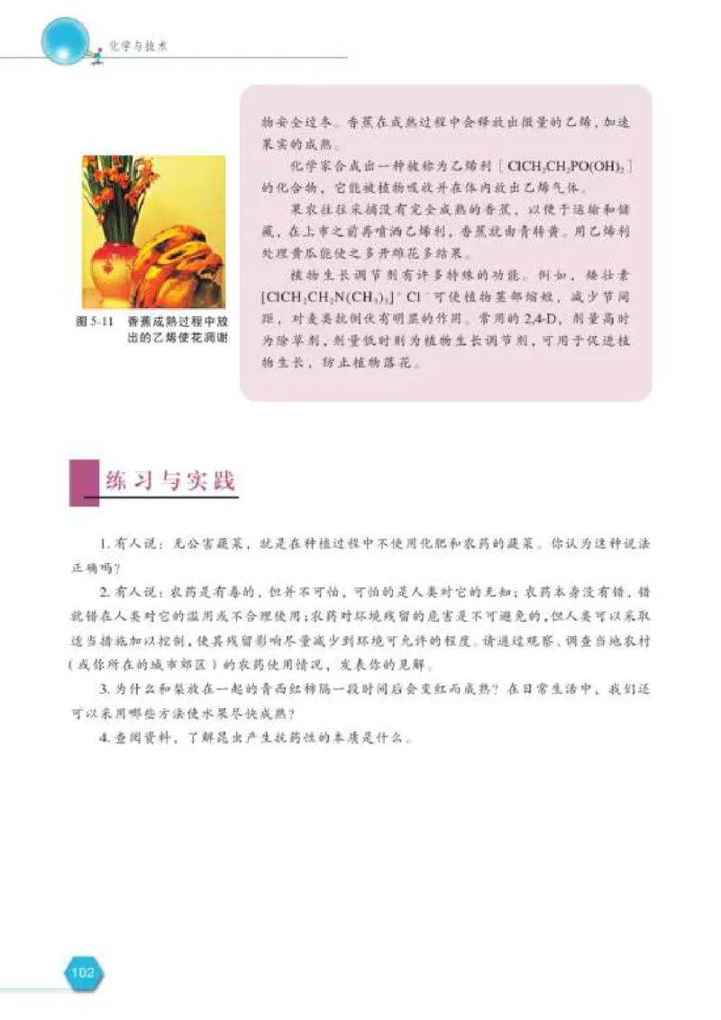 苏教版高中化学选修2化学与技术_4-教培资料-26年最新资料-同步更新_初中高中教资_03科三专项（进去保存报考的学科即可）_02科三专项（笔记真题思维导图教学设计版本二）