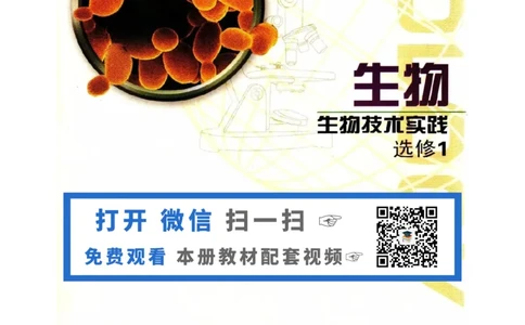 苏教版高中生物选修1《生物技术实践》电子课本_4-教培资料-26年最新资料-同步更新_初中高中教资_03科三专项（进去保存报考的学科即可）_112025高中科目（全）电子教材