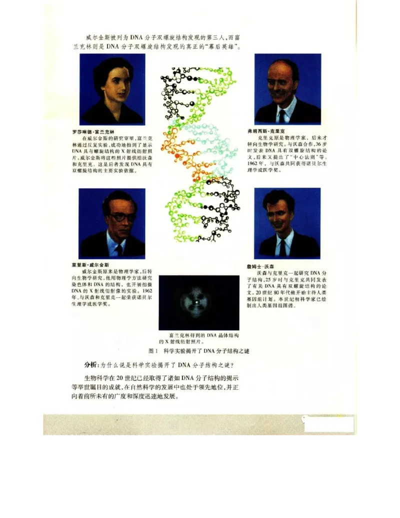 苏教版高中生物选修1《生物技术实践》电子课本_4-教培资料-26年最新资料-同步更新_初中高中教资_03科三专项（进去保存报考的学科即可）_112025高中科目（全）电子教材