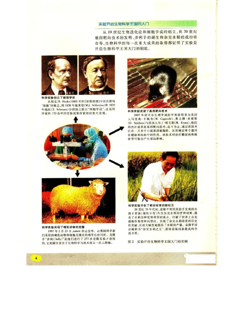 苏教版高中生物选修1《生物技术实践》电子课本_4-教培资料-26年最新资料-同步更新_初中高中教资_03科三专项（进去保存报考的学科即可）_112025高中科目（全）电子教材