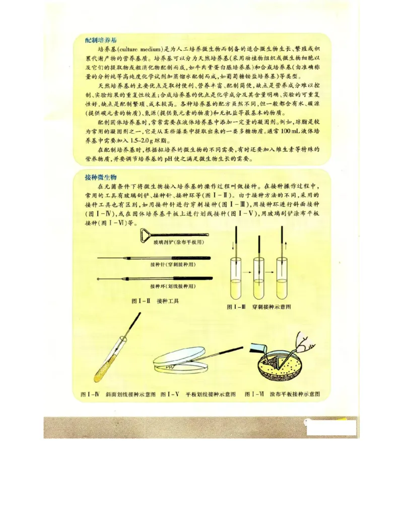 苏教版高中生物选修1《生物技术实践》电子课本_4-教培资料-26年最新资料-同步更新_初中高中教资_03科三专项（进去保存报考的学科即可）_112025高中科目（全）电子教材