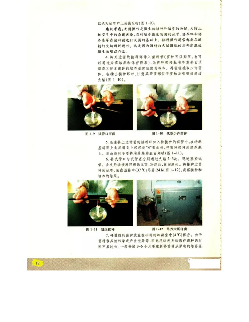 苏教版高中生物选修1《生物技术实践》电子课本_4-教培资料-26年最新资料-同步更新_初中高中教资_03科三专项（进去保存报考的学科即可）_112025高中科目（全）电子教材