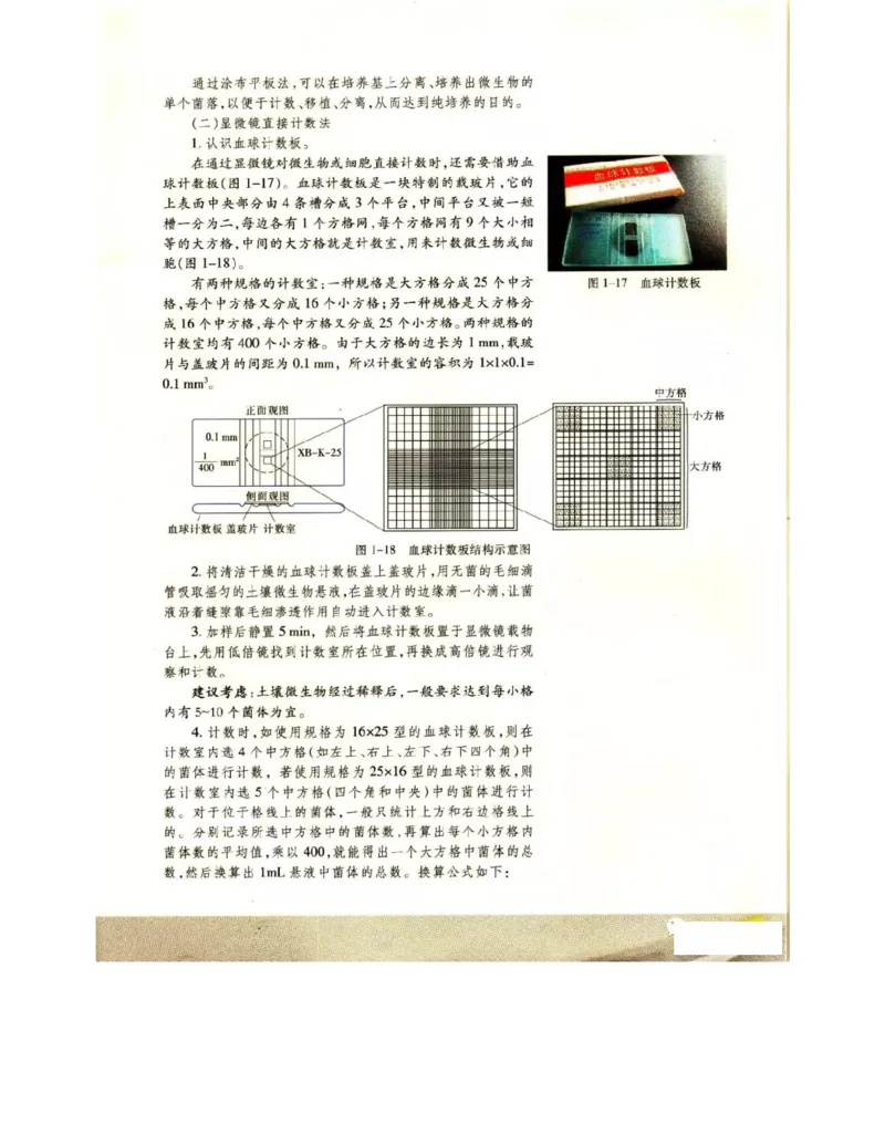苏教版高中生物选修1《生物技术实践》电子课本_4-教培资料-26年最新资料-同步更新_初中高中教资_03科三专项（进去保存报考的学科即可）_112025高中科目（全）电子教材