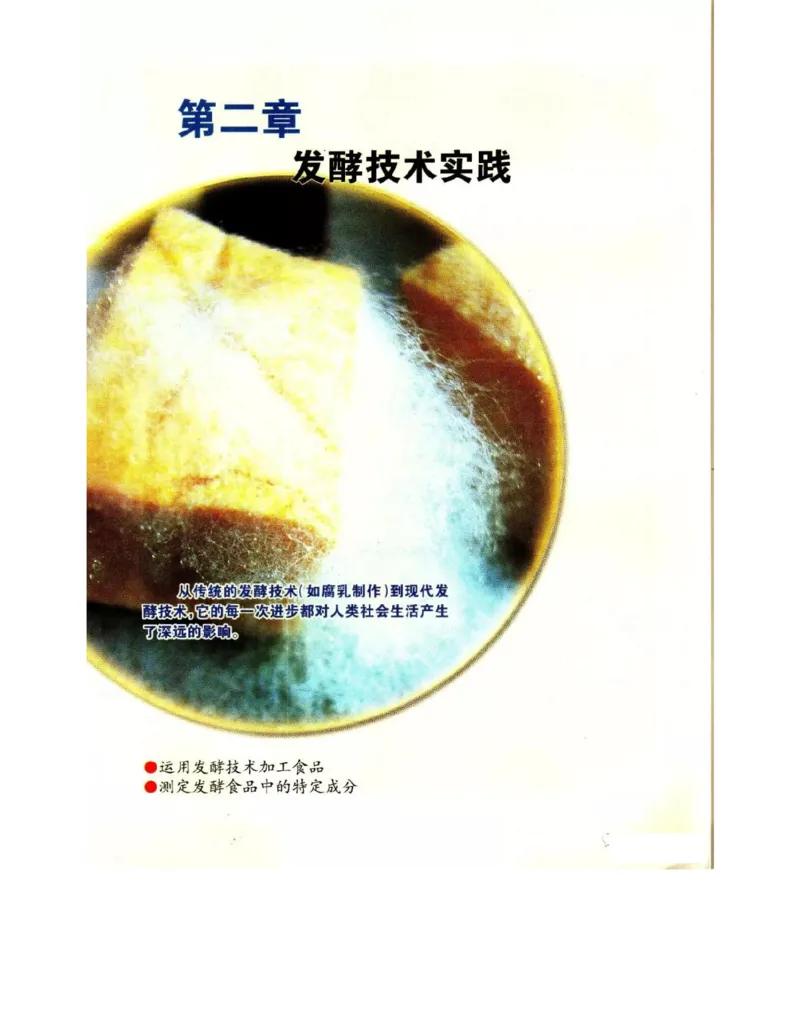 苏教版高中生物选修1《生物技术实践》电子课本_4-教培资料-26年最新资料-同步更新_初中高中教资_03科三专项（进去保存报考的学科即可）_112025高中科目（全）电子教材