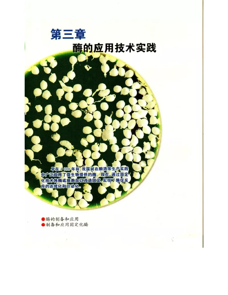 苏教版高中生物选修1《生物技术实践》电子课本_4-教培资料-26年最新资料-同步更新_初中高中教资_03科三专项（进去保存报考的学科即可）_112025高中科目（全）电子教材