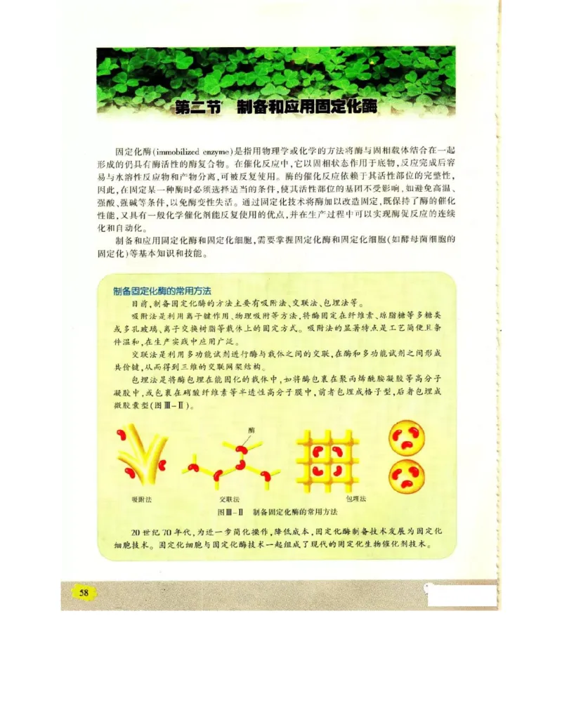 苏教版高中生物选修1《生物技术实践》电子课本_4-教培资料-26年最新资料-同步更新_初中高中教资_03科三专项（进去保存报考的学科即可）_112025高中科目（全）电子教材