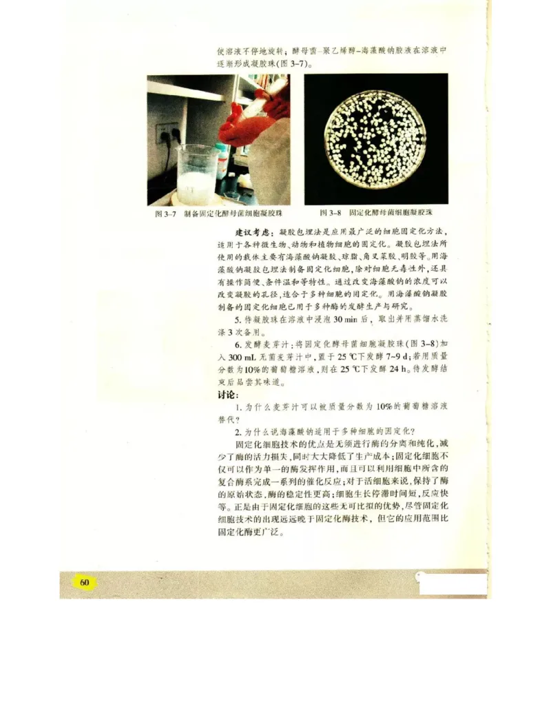 苏教版高中生物选修1《生物技术实践》电子课本_4-教培资料-26年最新资料-同步更新_初中高中教资_03科三专项（进去保存报考的学科即可）_112025高中科目（全）电子教材