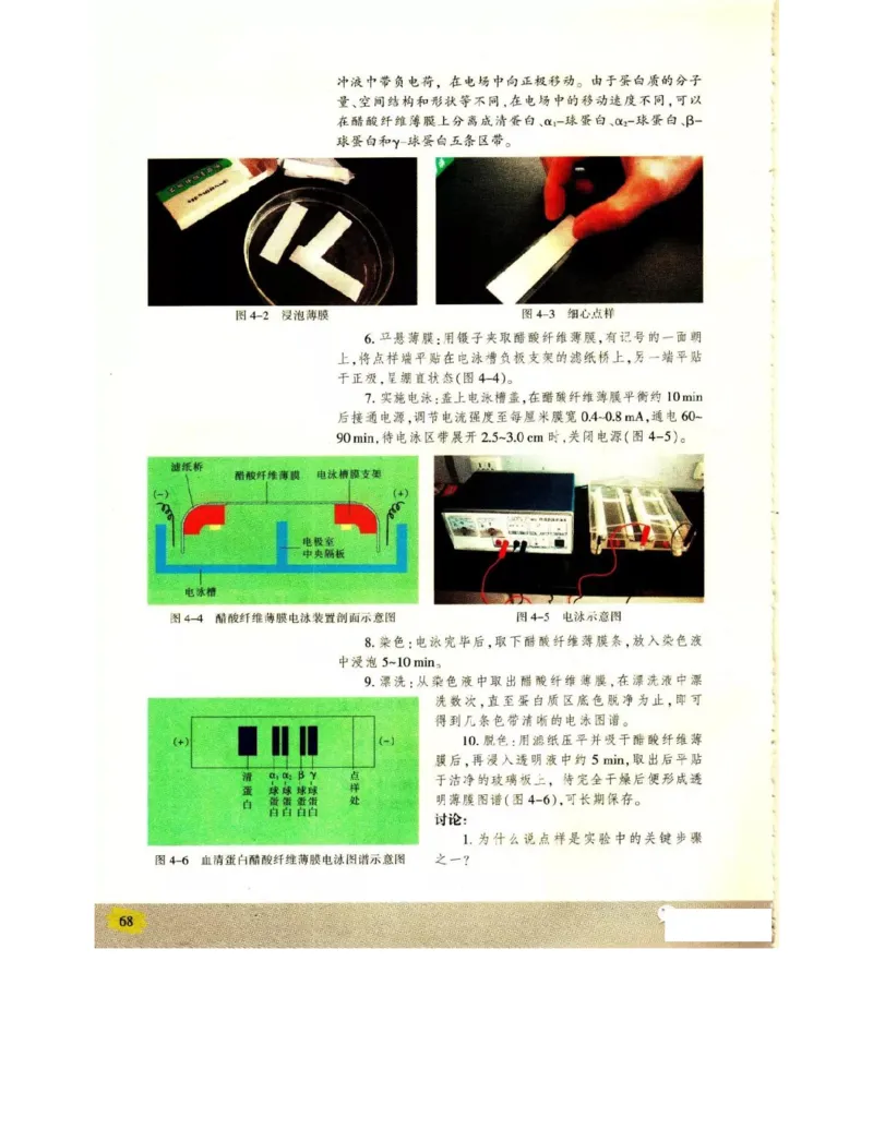 苏教版高中生物选修1《生物技术实践》电子课本_4-教培资料-26年最新资料-同步更新_初中高中教资_03科三专项（进去保存报考的学科即可）_112025高中科目（全）电子教材