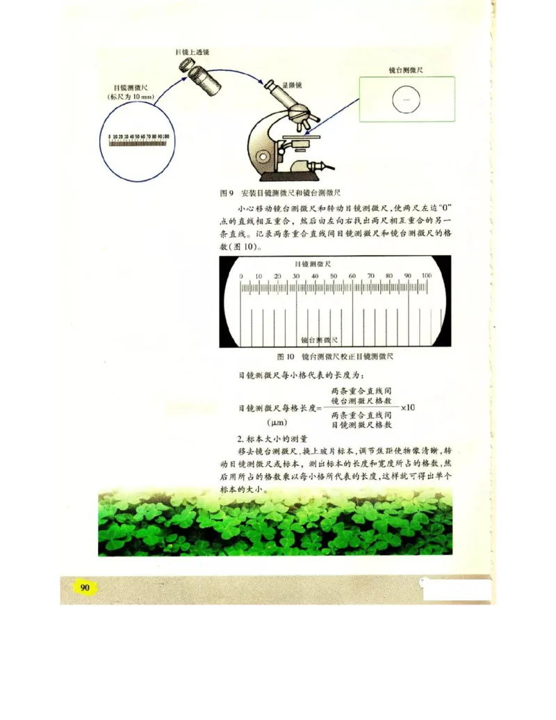 苏教版高中生物选修1《生物技术实践》电子课本_4-教培资料-26年最新资料-同步更新_初中高中教资_03科三专项（进去保存报考的学科即可）_112025高中科目（全）电子教材