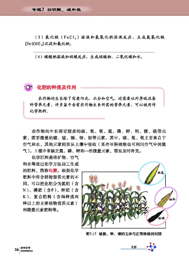 科普版9年级化学下册高清教材_4-教培资料-26年最新资料-同步更新_初中高中教资_03科三专项（进去保存报考的学科即可）_02科三专项（笔记真题思维导图教学设计版本二）