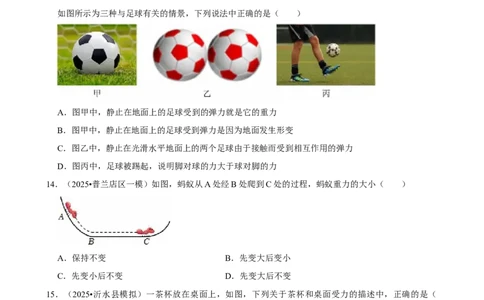 2026年中考物理常考考点专题之力_162026年中考七科常考考点专题资料_004中考物理常考考点专题