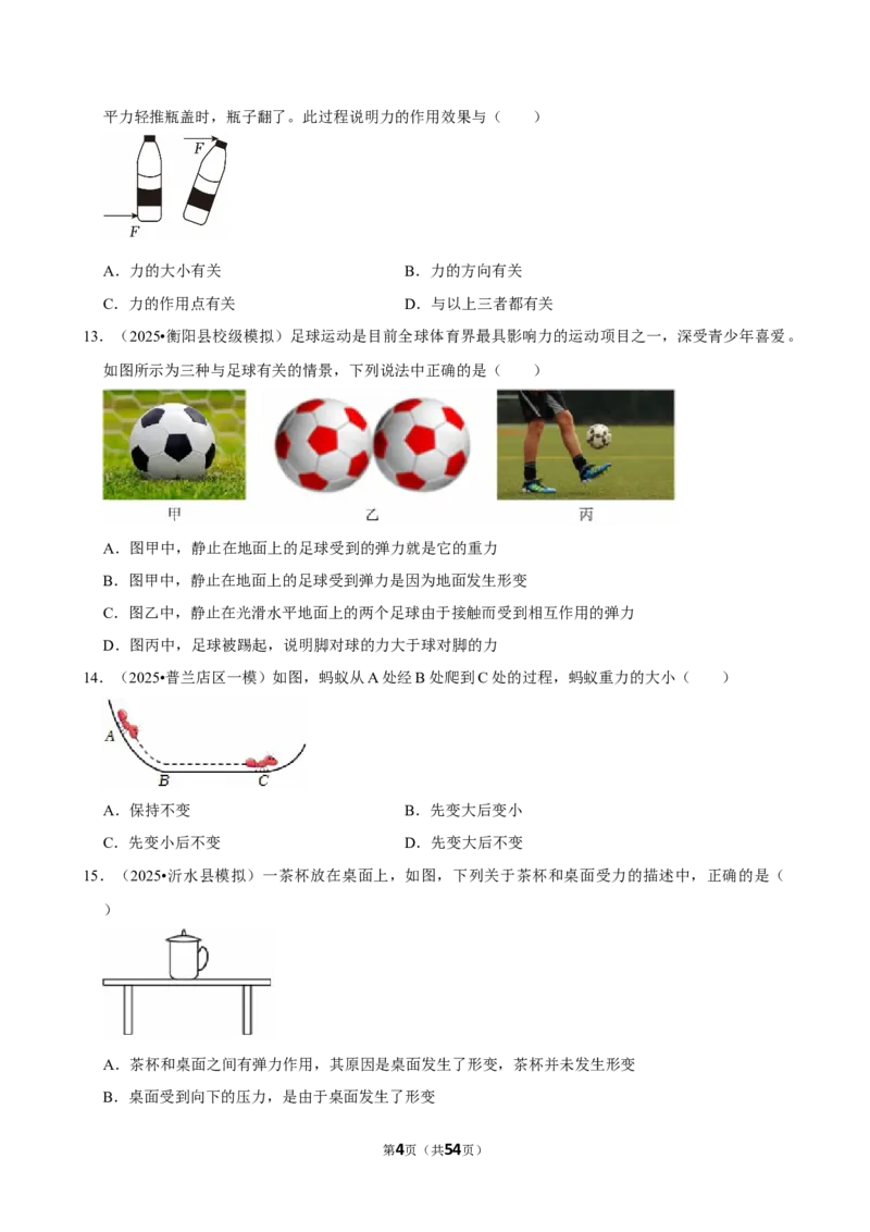 2026年中考物理常考考点专题之力_162026年中考七科常考考点专题资料_004中考物理常考考点专题