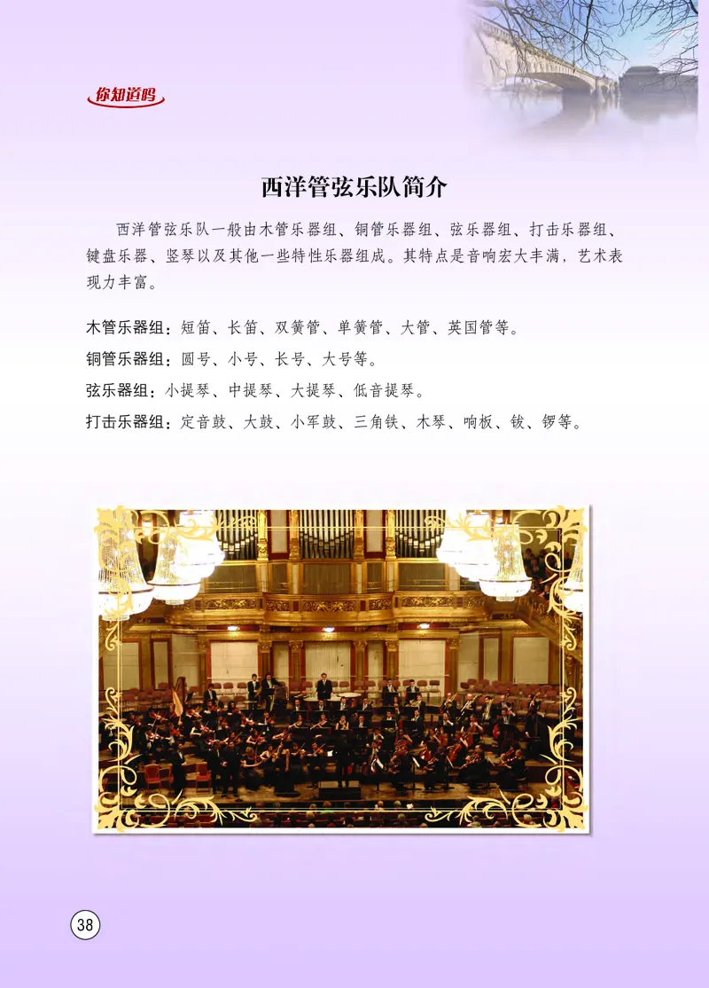 西南师大8年级音乐下册高清教材_4-教培资料-26年最新资料-同步更新_初中高中教资_03科三专项（进去保存报考的学科即可）_02科三专项（笔记真题思维导图教学设计版本二）