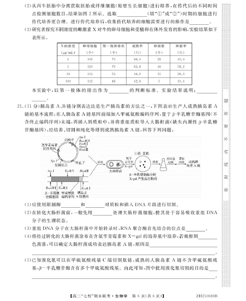 陕西省安康市七校2024-2025学年高二下学期7月期末联考生物试卷（有答案）_2025年7月_250729陕西省安康市七校联考2024-2025学年高二下学期7月期末（全科）