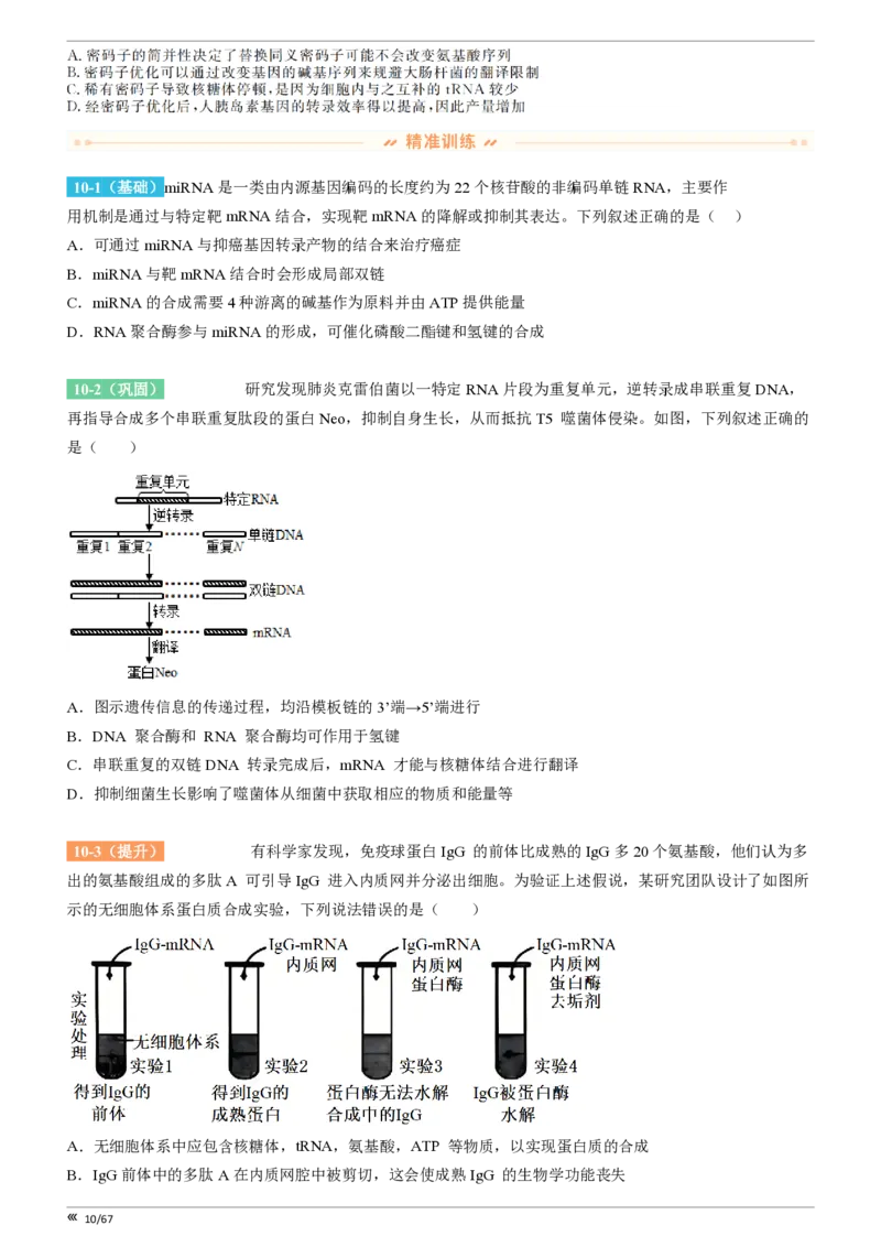 点石联考高三生物巩固卷A卷2025.12-_2025年12月_251221辽宁省点石联考2026届高三上学期12月联考考后巩固卷（全科）_高三生物A卷