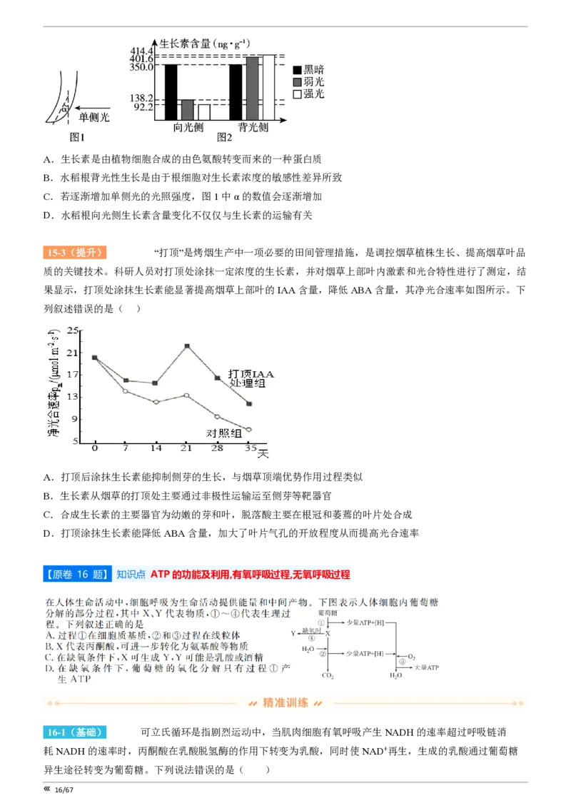 点石联考高三生物巩固卷A卷2025.12-_2025年12月_251221辽宁省点石联考2026届高三上学期12月联考考后巩固卷（全科）_高三生物A卷