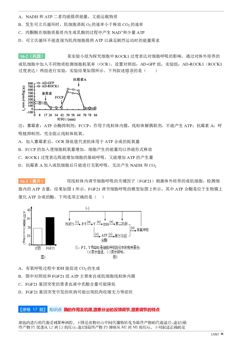 点石联考高三生物巩固卷A卷2025.12-_2025年12月_251221辽宁省点石联考2026届高三上学期12月联考考后巩固卷（全科）_高三生物A卷