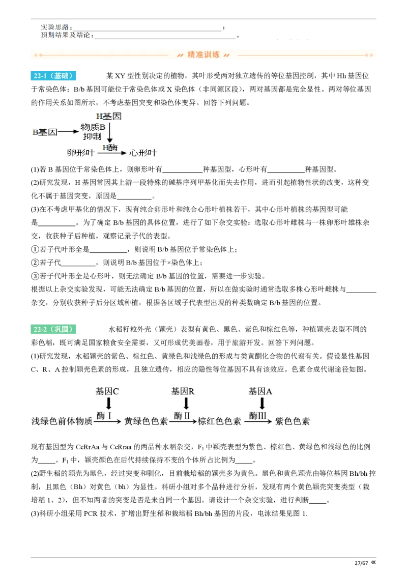 点石联考高三生物巩固卷A卷2025.12-_2025年12月_251221辽宁省点石联考2026届高三上学期12月联考考后巩固卷（全科）_高三生物A卷