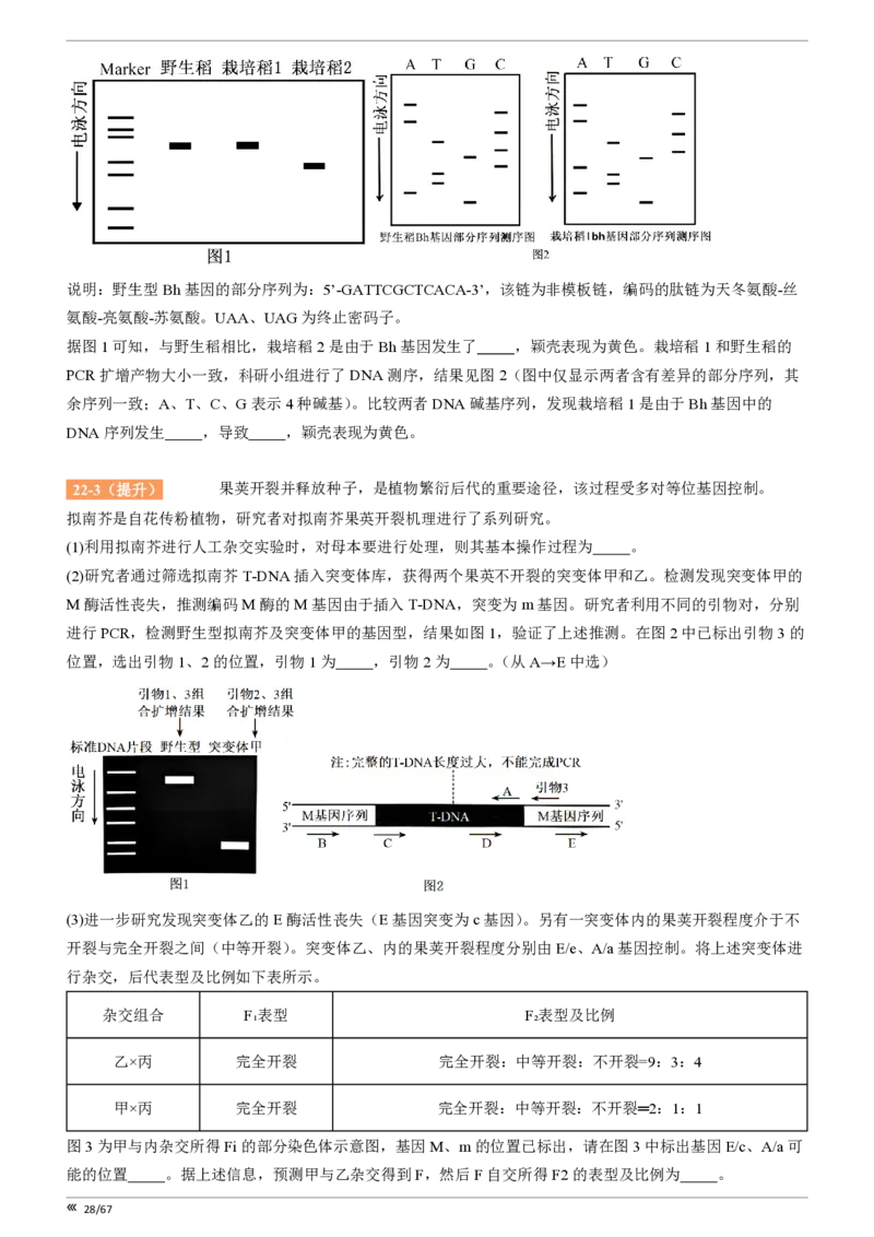 点石联考高三生物巩固卷A卷2025.12-_2025年12月_251221辽宁省点石联考2026届高三上学期12月联考考后巩固卷（全科）_高三生物A卷