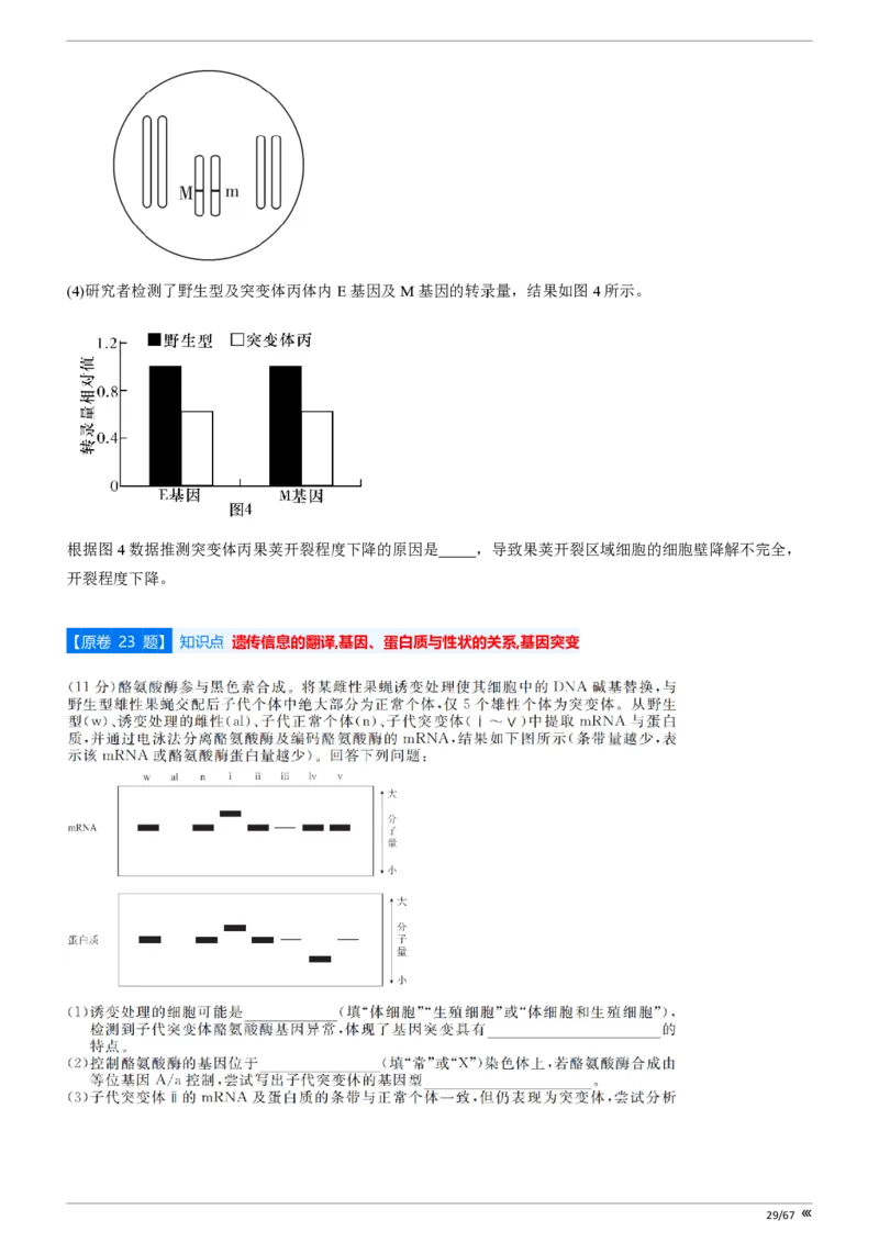 点石联考高三生物巩固卷A卷2025.12-_2025年12月_251221辽宁省点石联考2026届高三上学期12月联考考后巩固卷（全科）_高三生物A卷