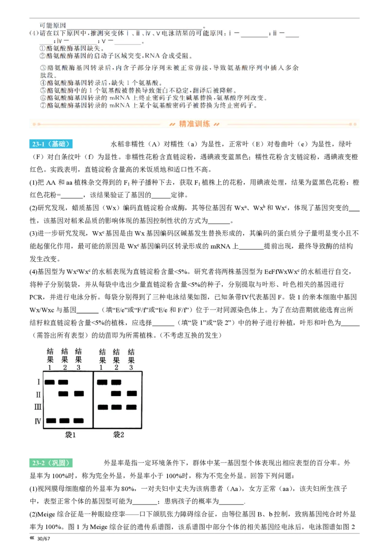 点石联考高三生物巩固卷A卷2025.12-_2025年12月_251221辽宁省点石联考2026届高三上学期12月联考考后巩固卷（全科）_高三生物A卷