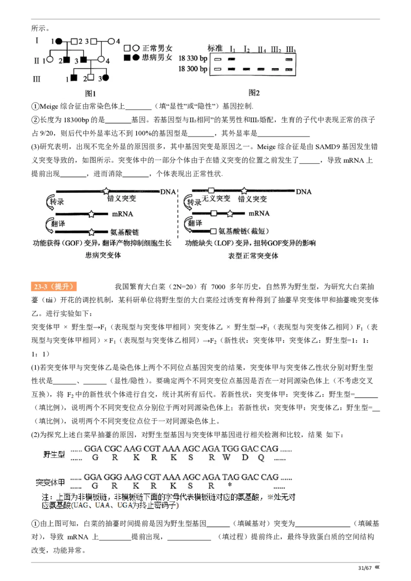 点石联考高三生物巩固卷A卷2025.12-_2025年12月_251221辽宁省点石联考2026届高三上学期12月联考考后巩固卷（全科）_高三生物A卷