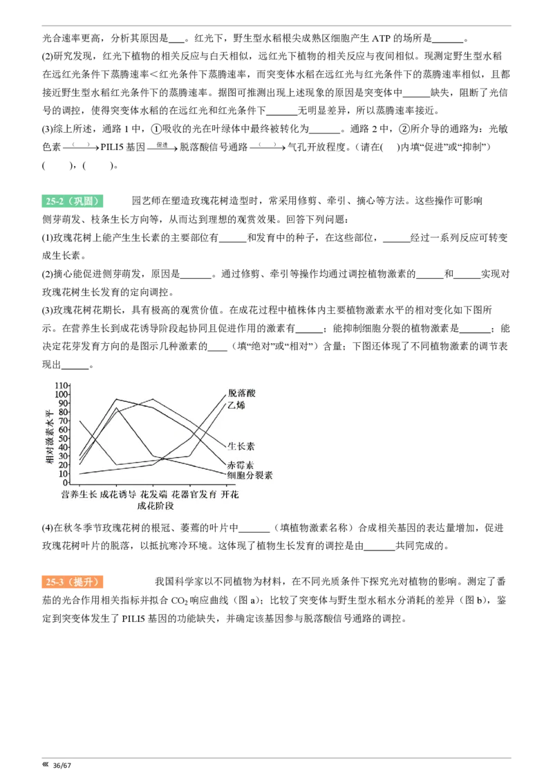 点石联考高三生物巩固卷A卷2025.12-_2025年12月_251221辽宁省点石联考2026届高三上学期12月联考考后巩固卷（全科）_高三生物A卷