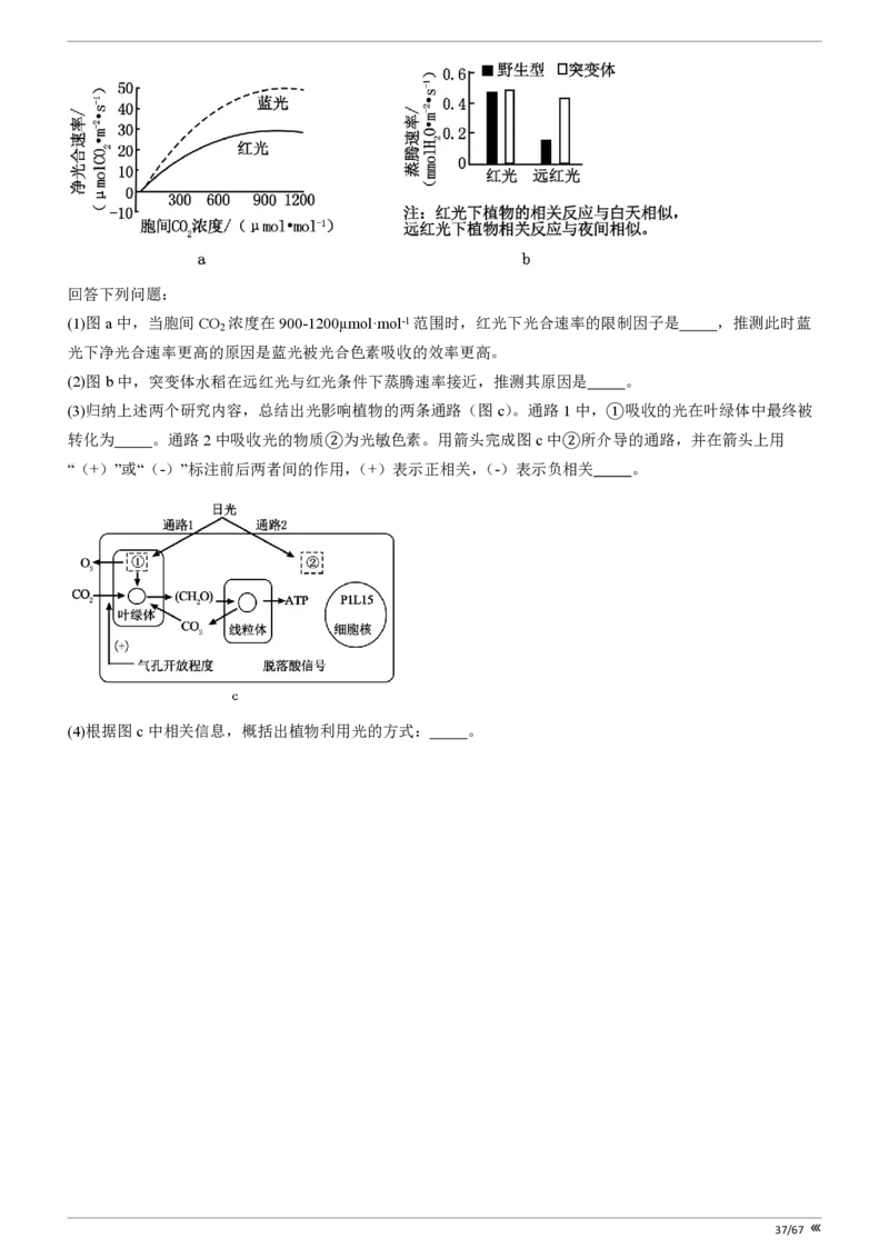 点石联考高三生物巩固卷A卷2025.12-_2025年12月_251221辽宁省点石联考2026届高三上学期12月联考考后巩固卷（全科）_高三生物A卷