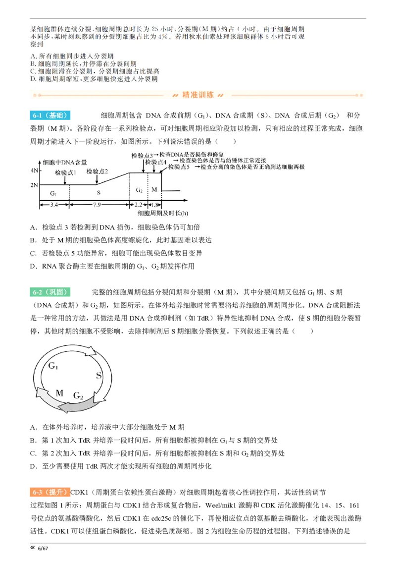 点石联考高三生物巩固卷A卷2025.12-_2025年12月_251221辽宁省点石联考2026届高三上学期12月联考考后巩固卷（全科）_高三生物A卷