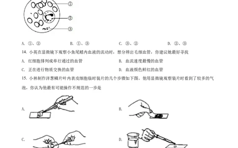 精品解析：2022年山西省太原市学业水平测试生物真题（原卷版）_中考真题_8.生物中考真题2015-2024年_2022年全国中考生物114份14