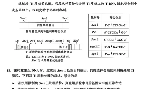 2025年嘉兴市高三基础测试+生物_2025年9月_250920浙江省嘉兴市2025年9月高三基础测试（全科）_浙江省嘉兴市2025年9月高三基础测试生物