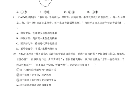 2026年中考道德与法治常考考点专题之少年有梦_162026年中考七科常考考点专题资料_007中考道法常考考点专题
