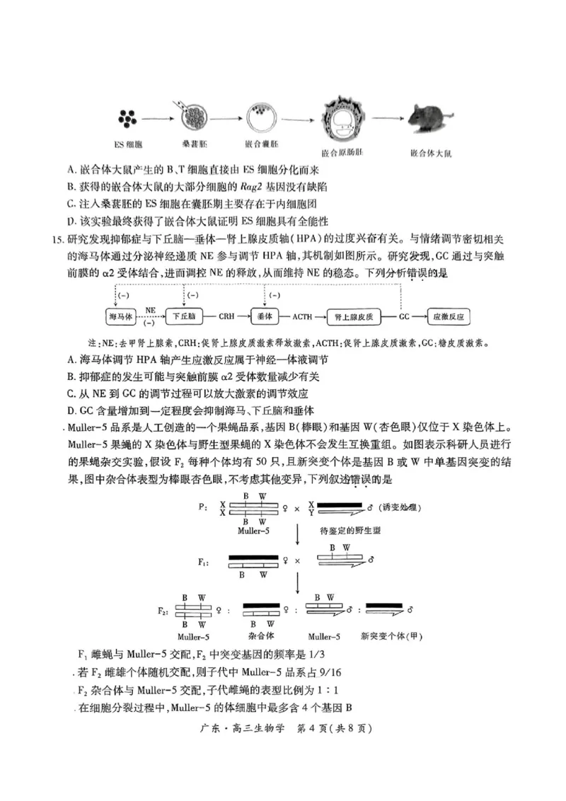 上进联考-2025届广东省高三5月联合测评-生物试卷_2025年5月_250514广东上进联考2025届高三5月联合测评（全科）