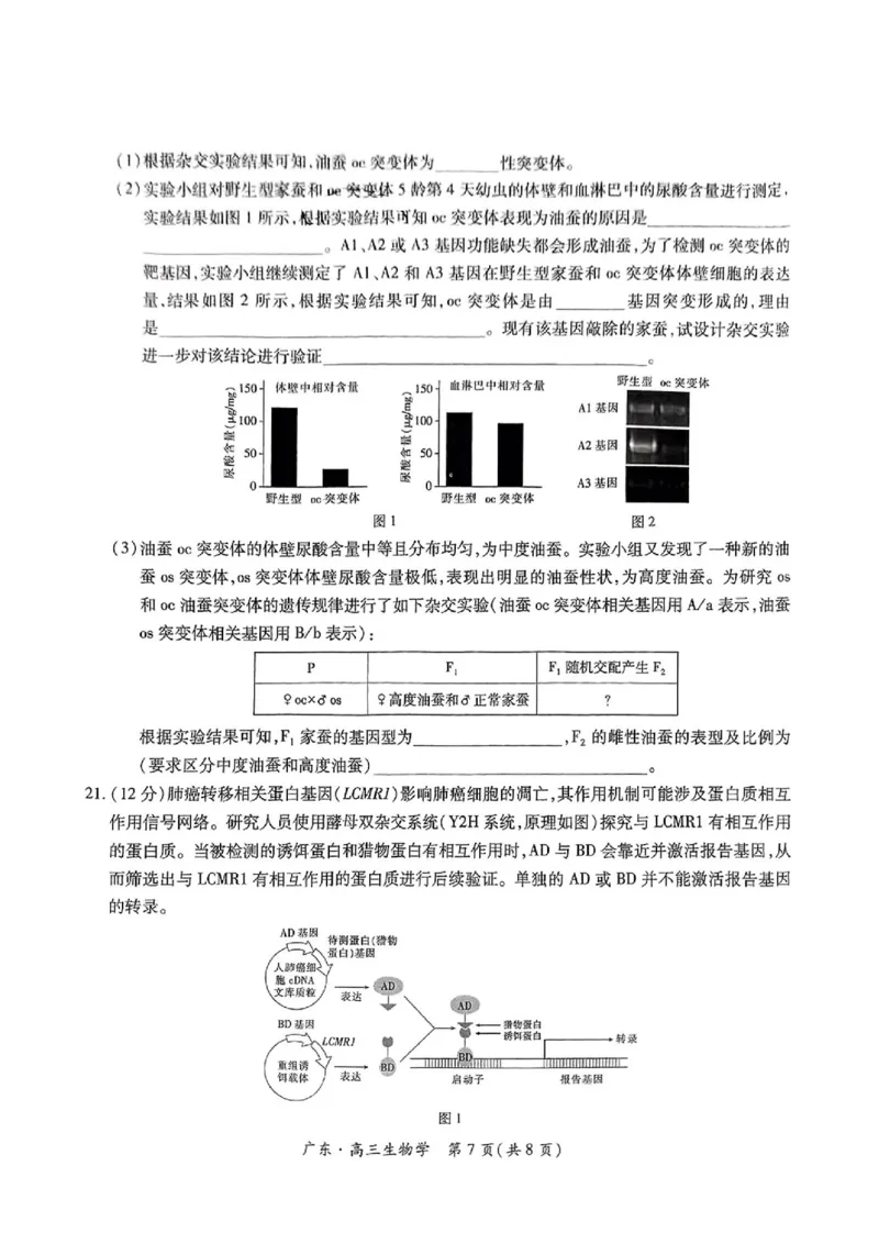 上进联考-2025届广东省高三5月联合测评-生物试卷_2025年5月_250514广东上进联考2025届高三5月联合测评（全科）
