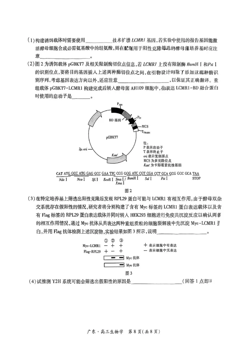 上进联考-2025届广东省高三5月联合测评-生物试卷_2025年5月_250514广东上进联考2025届高三5月联合测评（全科）