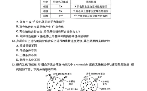上进联考-2025届广东省高三5月联合测评-生物试卷_2025年5月_250514广东上进联考2025届高三5月联合测评（全科）