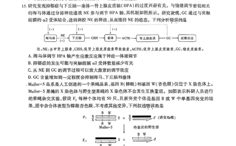 上进联考-2025届广东省高三5月联合测评-生物试卷_2025年5月_250514广东上进联考2025届高三5月联合测评（全科）