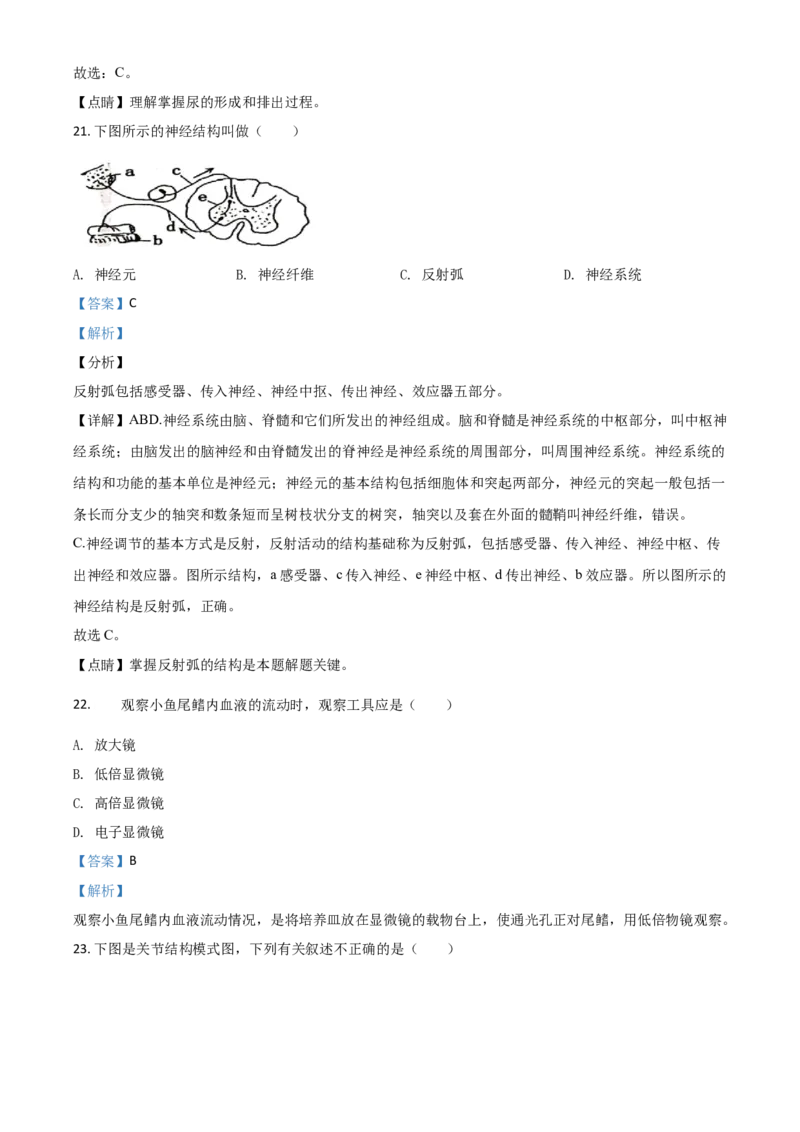 精品解析：新疆2020年中考生物试题（解析版）_中考真题_8.生物中考真题2015-2024年_2020生物真题74份_2020年中考真题精品解析生物（新疆卷）精编word版