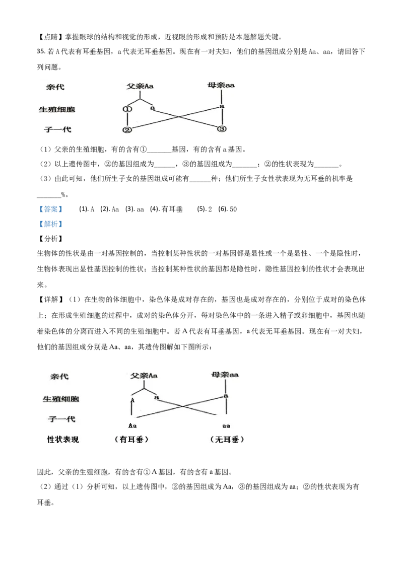 精品解析：新疆2020年中考生物试题（解析版）_中考真题_8.生物中考真题2015-2024年_2020生物真题74份_2020年中考真题精品解析生物（新疆卷）精编word版
