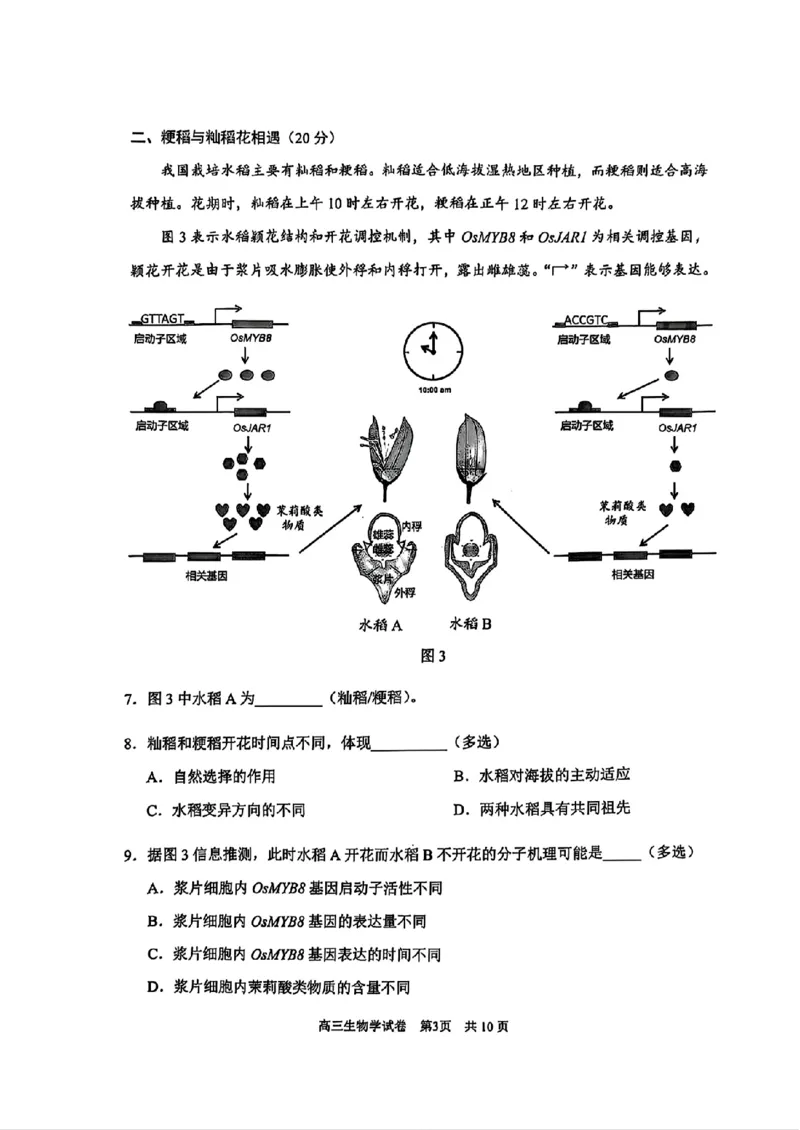 上海市浦东新区2024学年度第二学期高中教学质量检测生物_2025年4月_250408上海市浦东新区2024学年度第二学期高中教学质量检测（全科）