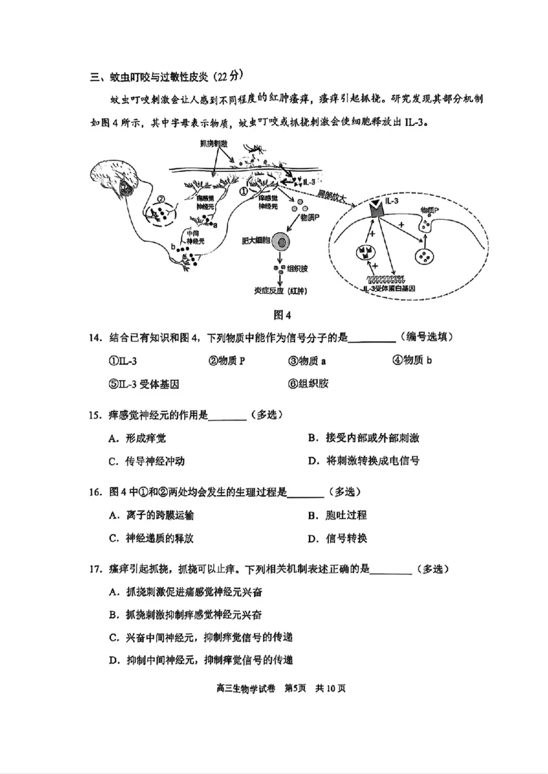 上海市浦东新区2024学年度第二学期高中教学质量检测生物_2025年4月_250408上海市浦东新区2024学年度第二学期高中教学质量检测（全科）