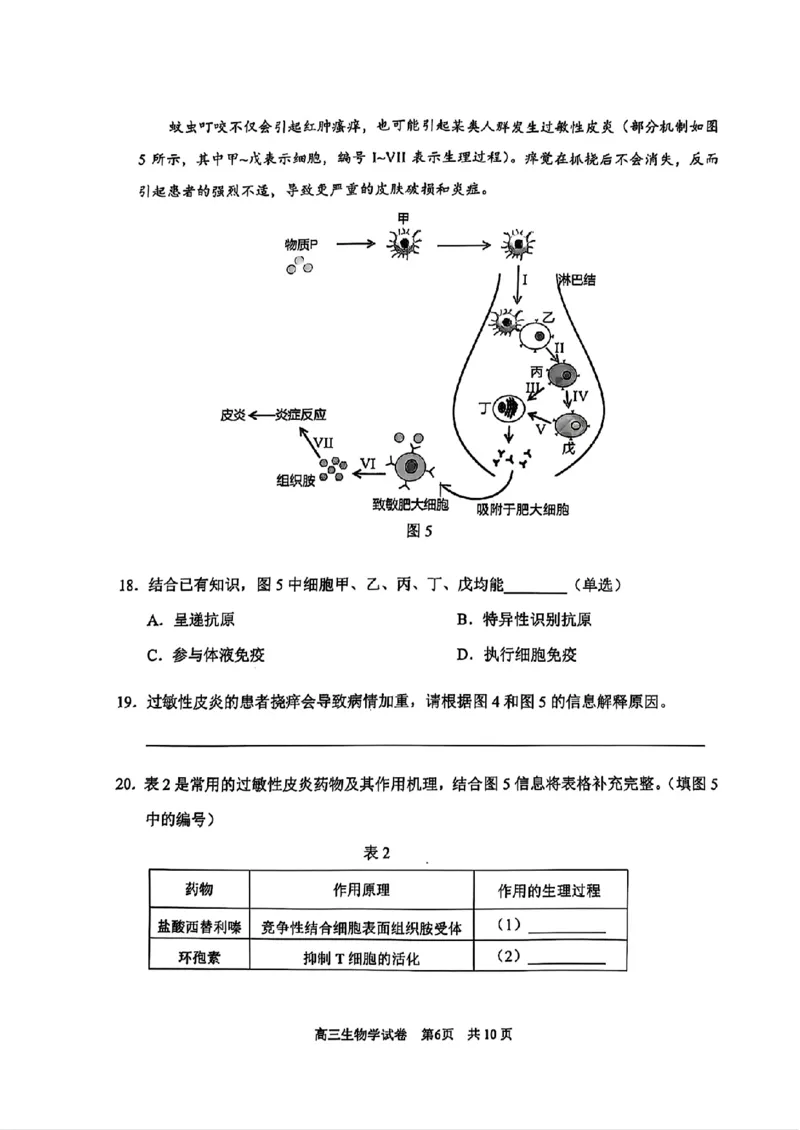 上海市浦东新区2024学年度第二学期高中教学质量检测生物_2025年4月_250408上海市浦东新区2024学年度第二学期高中教学质量检测（全科）