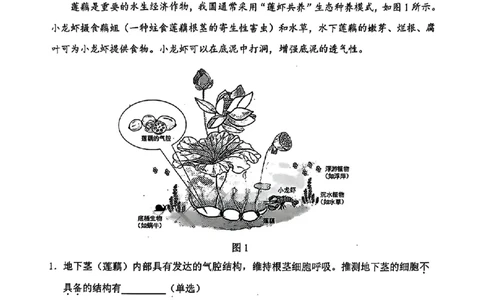 上海市浦东新区2024学年度第二学期高中教学质量检测生物_2025年4月_250408上海市浦东新区2024学年度第二学期高中教学质量检测（全科）
